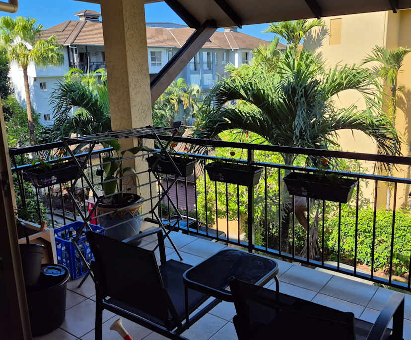 $350, Flatshare, 2 bathrooms, Cairns North QLD 4870