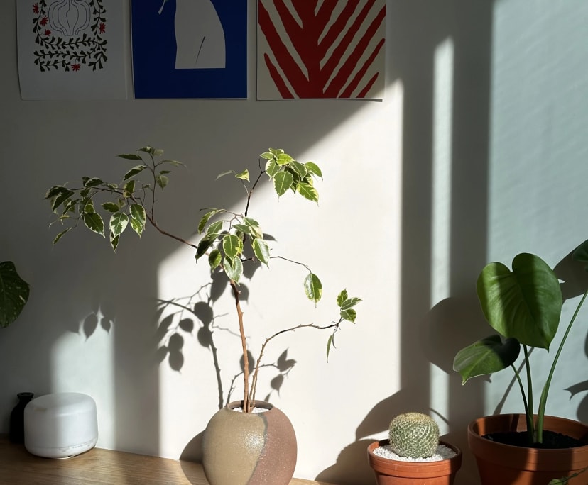 Room for Rent in Brunswick, Melbourne 320, Furnis...