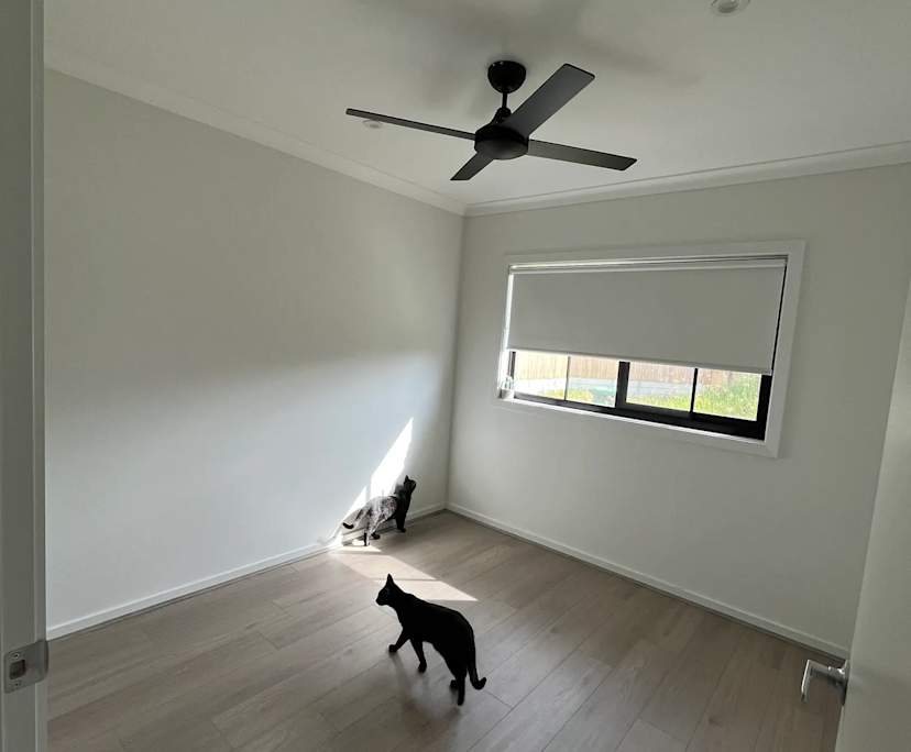 $250, Share-house, 2 rooms, Walloon QLD 4306, Walloon QLD 4306