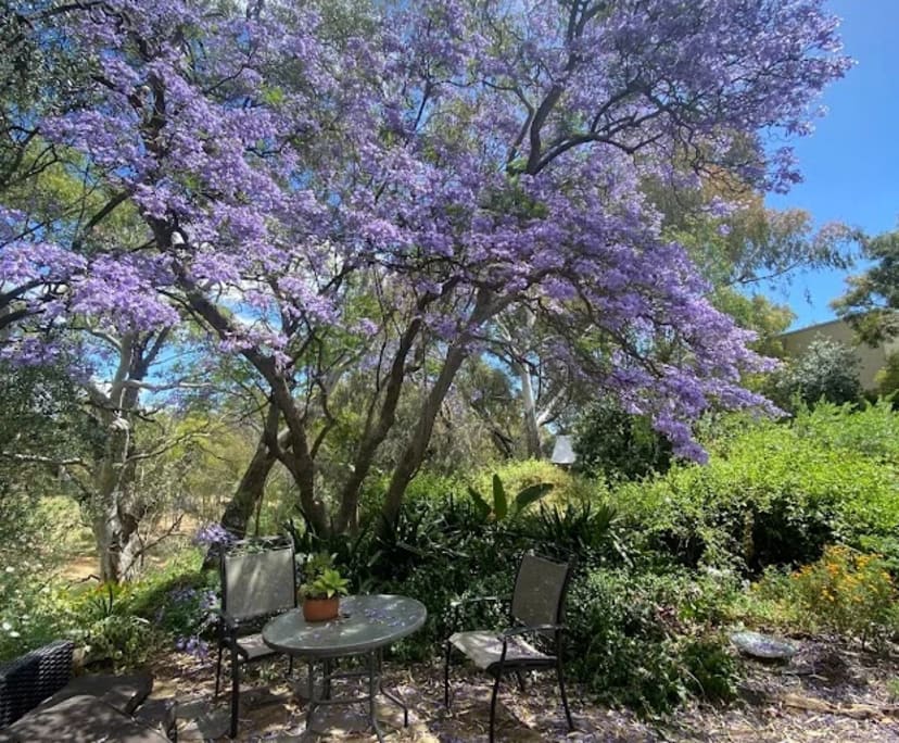 $550, Share-house, 4 bathrooms, Gilberton SA 5081