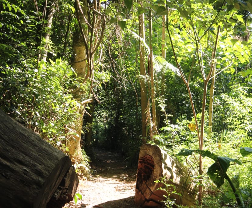 $820, Granny-flat, 1 bathroom, Highvale QLD 4520