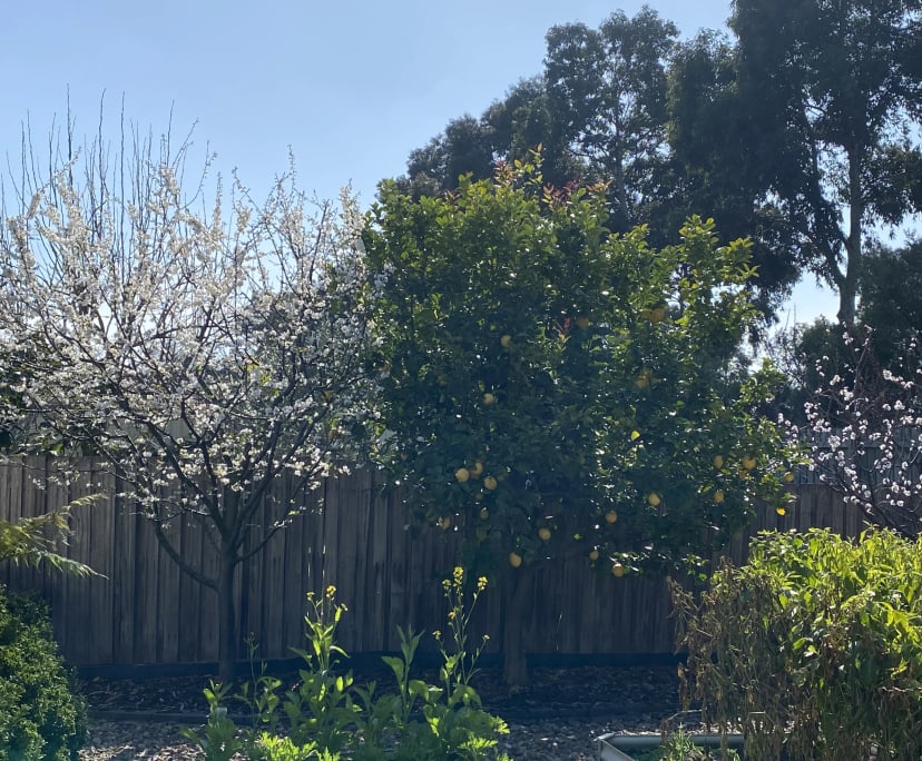 $260-270, Homestay, 2 rooms, Roxburgh Park VIC 3064, Roxburgh Park VIC 3064