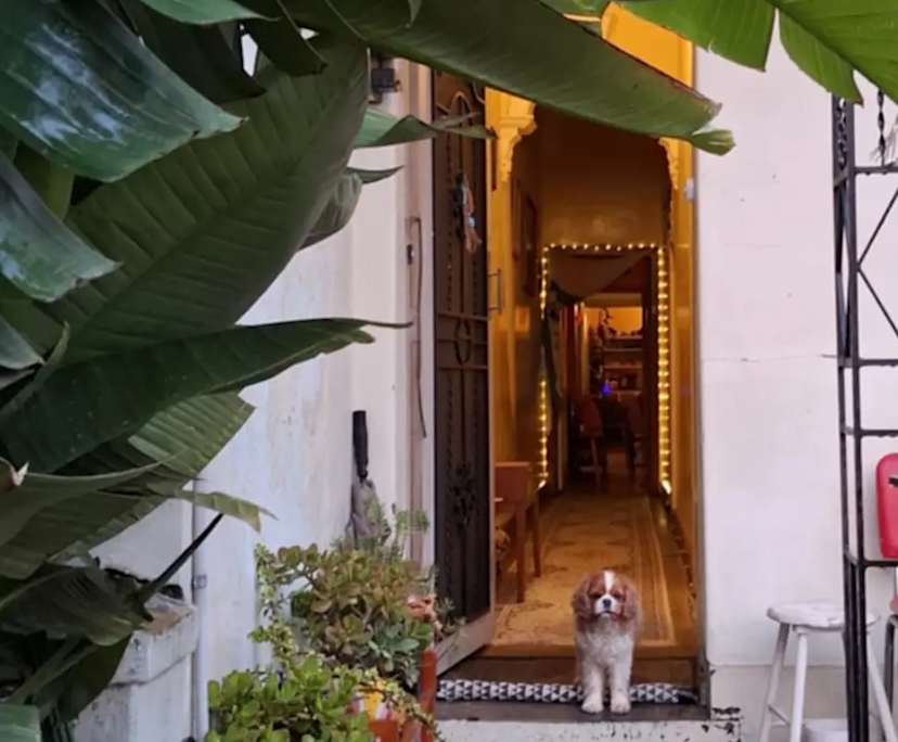 Room in a share house