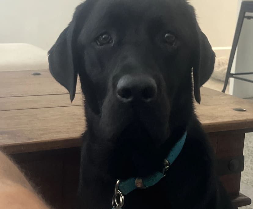 $350, Share-house, 3 bathrooms, Perth WA 6000