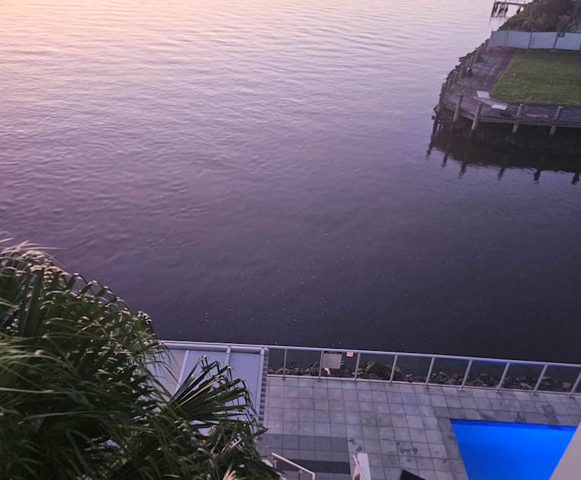 $600, Flatshare, 2 bathrooms, Surfers Paradise QLD 4217