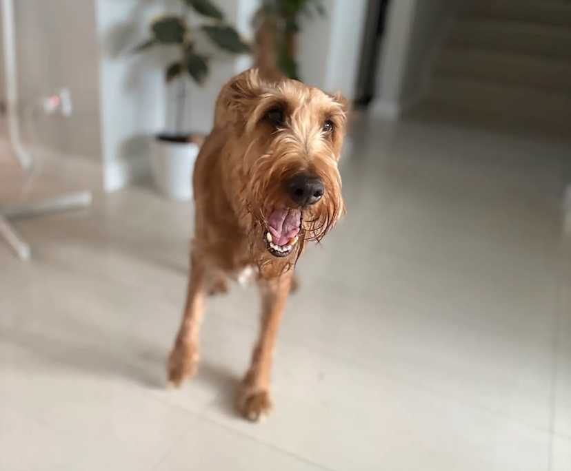 $260, Share-house, 4 bathrooms, East Victoria Park WA 6101