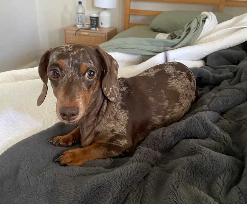 $300, Share-house, 4 bathrooms, Parramatta NSW 2150