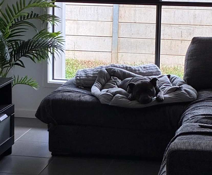 $200, Share-house, 4 bathrooms, Ipswich QLD 4305