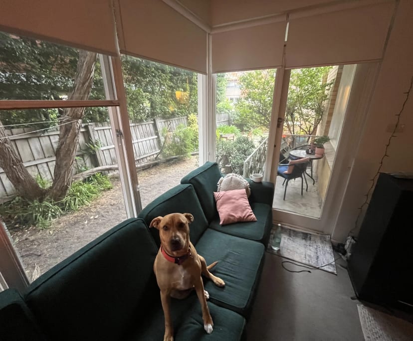 $264, Flatshare, 3 bathrooms, Saint Kilda East VIC 3183