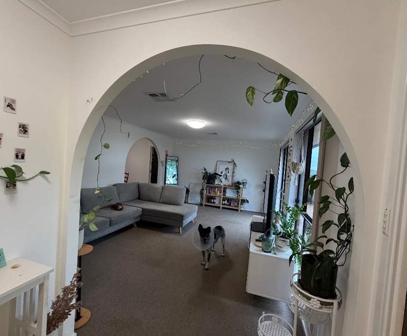 Unfurnished room in a share house
