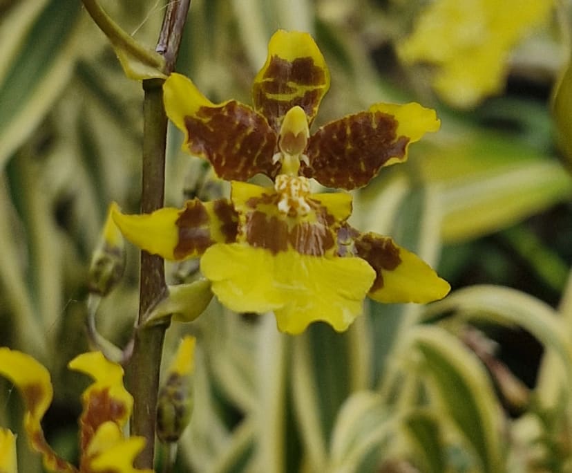 $235, Share-house, 4 bathrooms, Tweed Heads NSW 2485