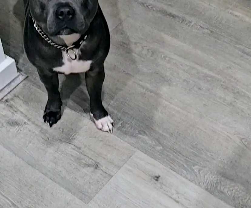 $340, Share-house, 3 bathrooms, Tallawong NSW 2762