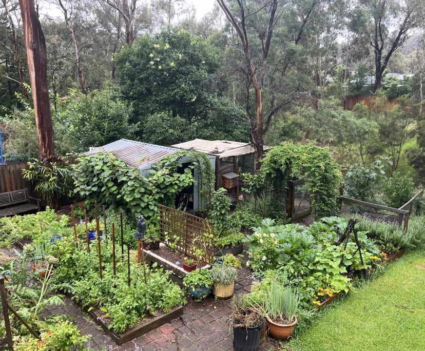 Homestay for Rent in Eltham North, Melbourne 150,...