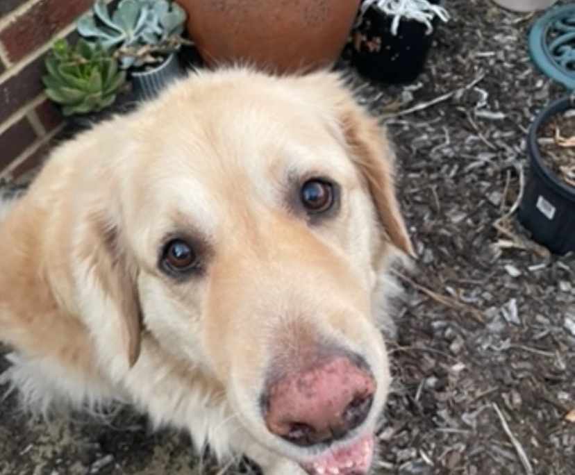 $270, Share-house, 3 bathrooms, Parmelia WA 6167