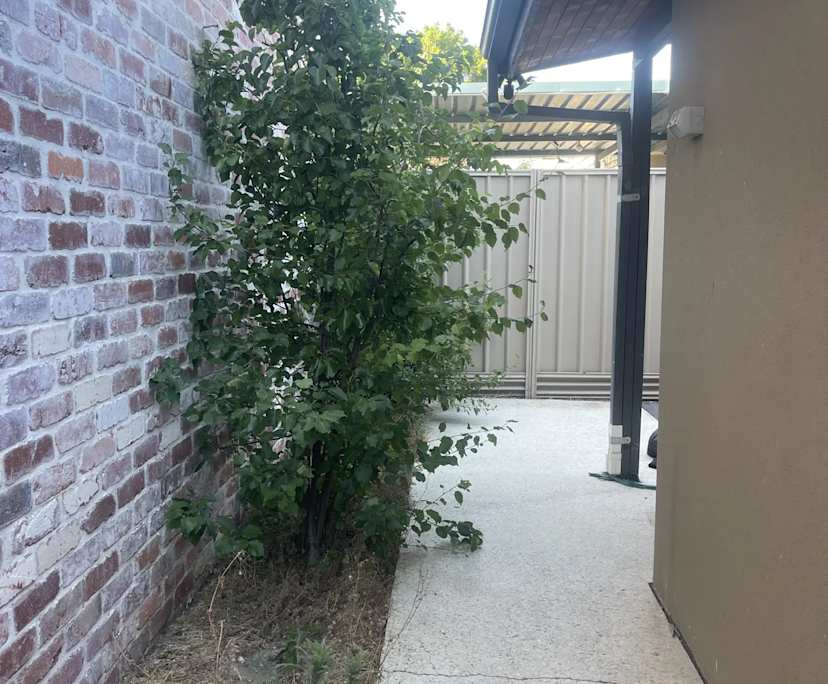 $350, Share-house, 3 bathrooms, Leederville WA 6007