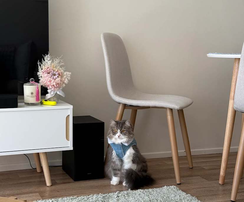 $300, Flatshare, 2 bathrooms, New Farm QLD 4005