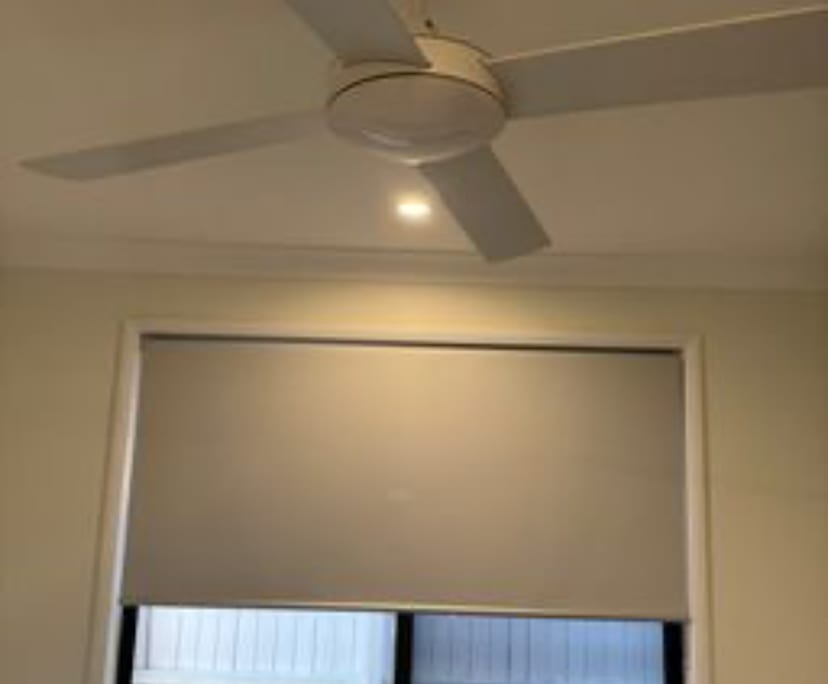 Whole property with 3 rooms for rent
