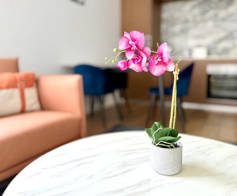 $880, 1-bed, 1 bathroom, Sydney NSW 2000