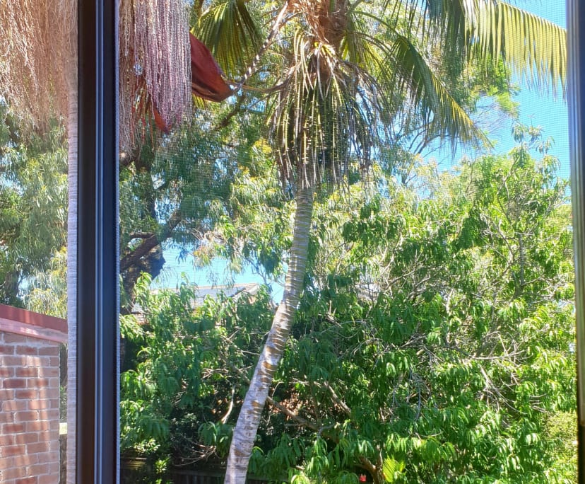 $300, Share-house, 4 bathrooms, Randwick NSW 2031