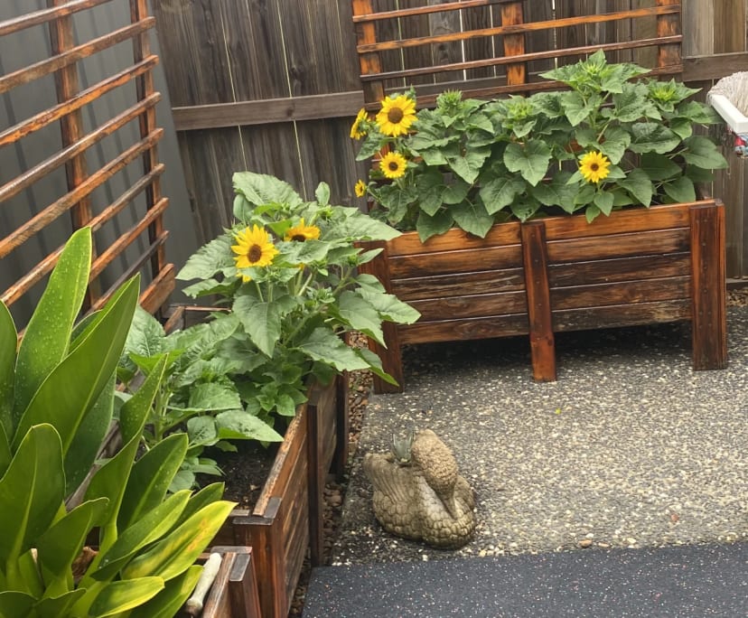 $275, Share-house, 3 bathrooms, Caboolture South QLD 4510