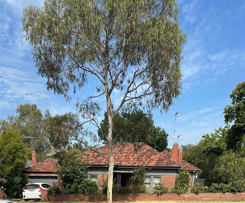 $350-400, Share-house, 3 rooms, Camberwell VIC 3124, Camberwell VIC 3124