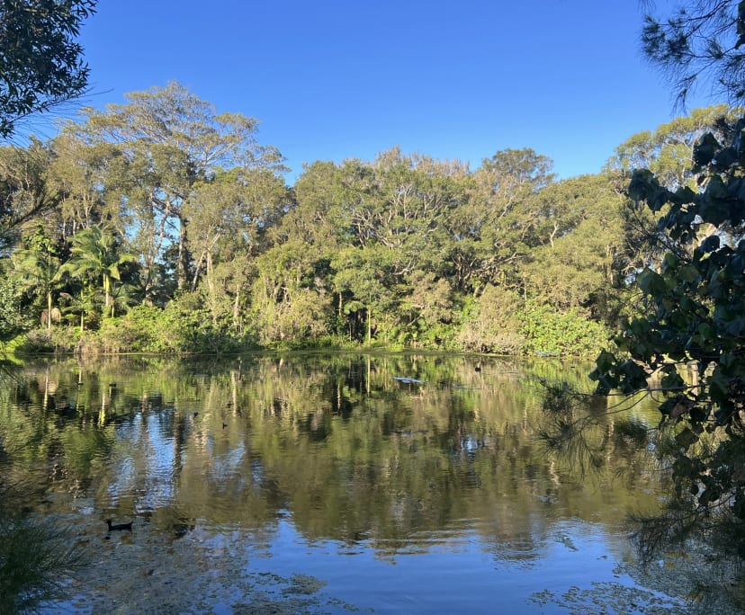 $315-450, Share-house, 3 rooms, Tugun QLD 4224, Tugun QLD 4224