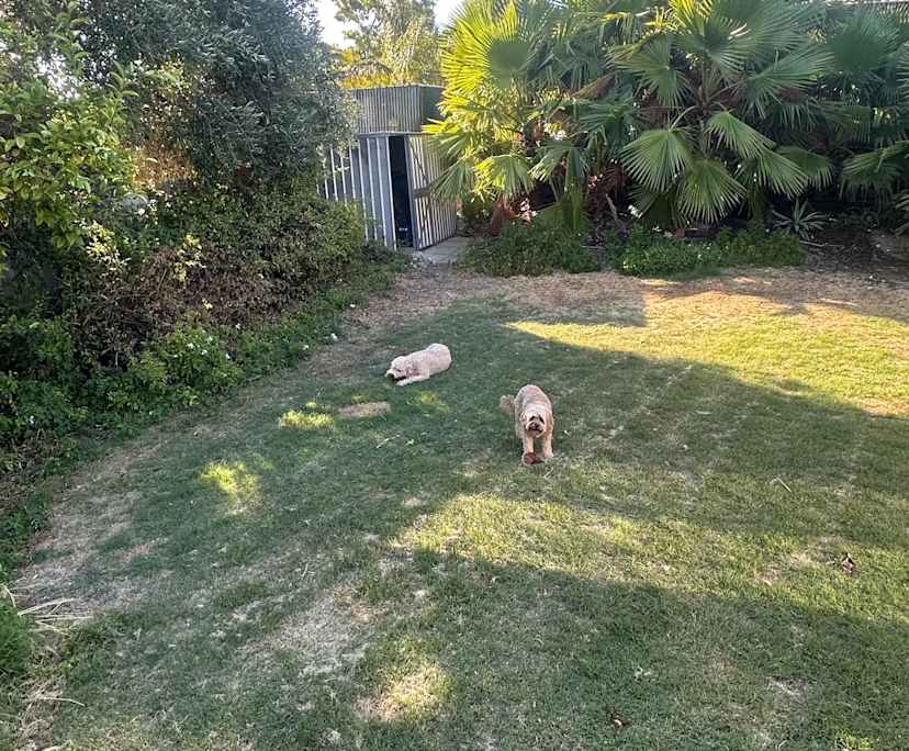 $420, Share-house, 4 bathrooms, Heathridge WA 6027