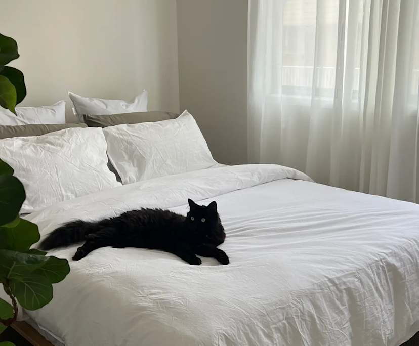 Unfurnished room in a share house