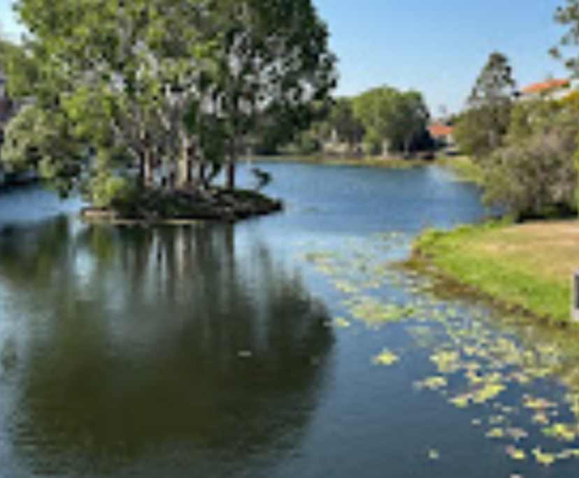 $335, Share-house, 3 bathrooms, Robina QLD 4226