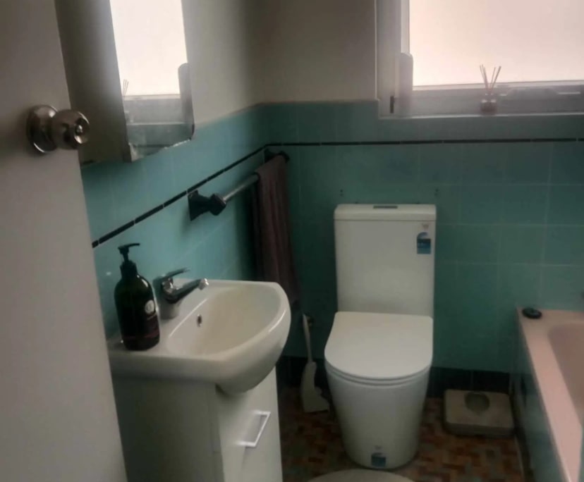 $375, Flatshare, 2 bathrooms, Monterey NSW 2217