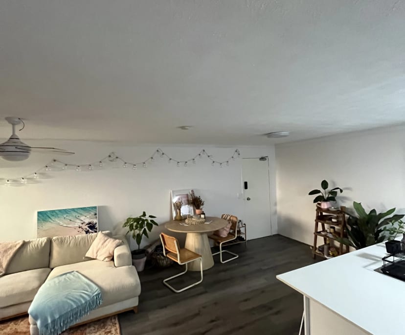 Whole property with 2 rooms for rent