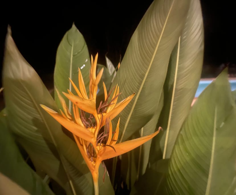 $300-350, Share-house, 4 rooms, Berry Springs NT 0838, Berry Springs NT 0838