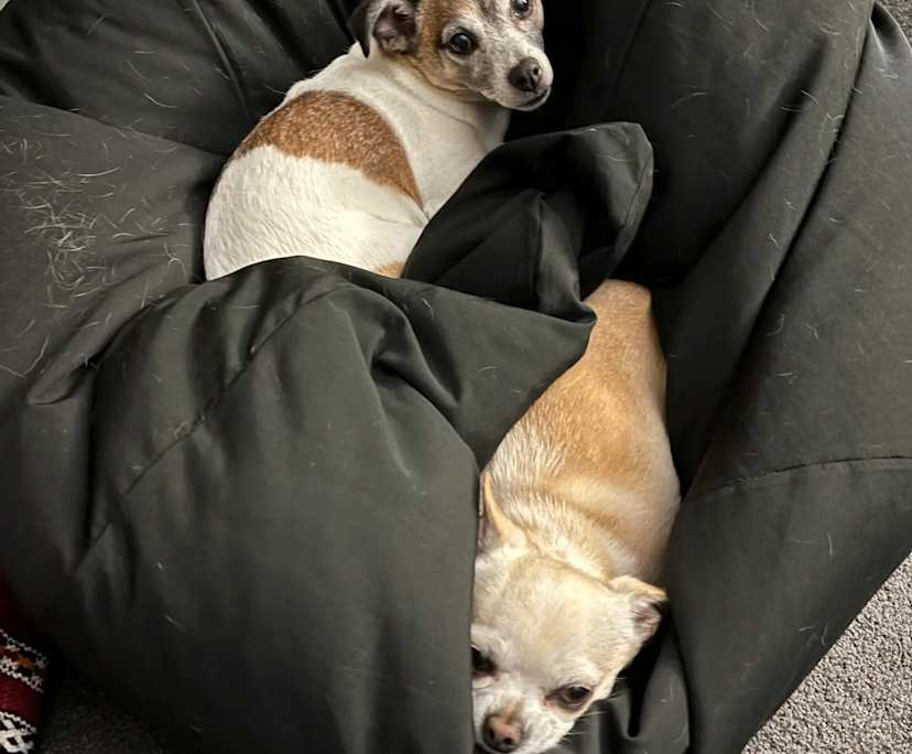 $250, Flatshare, 2 bathrooms, Coffs Harbour NSW 2450