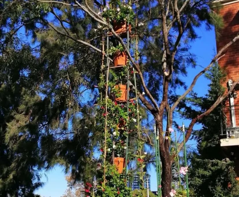 $225-285, Share-house, 2 rooms, Footscray VIC 3011, Footscray VIC 3011