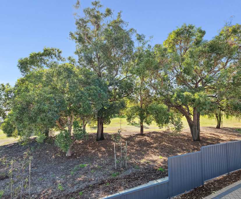 $600-650, Student-accommodation, 3 rooms, Nollamara WA 6051, Nollamara WA 6051