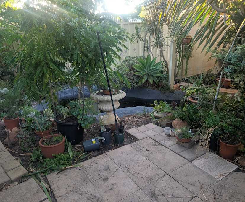 $300, Share-house, 4 bathrooms, Canning Vale WA 6155