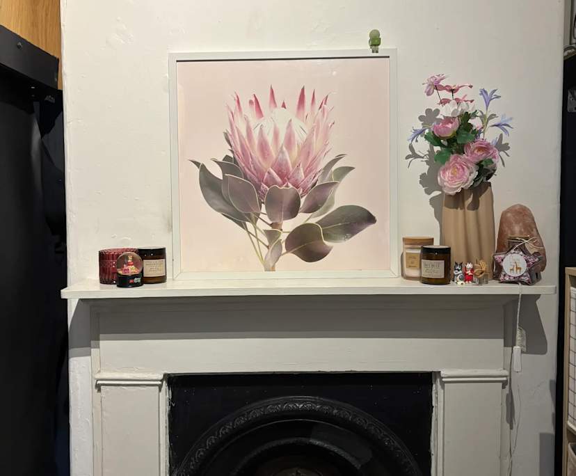 Room in a share house