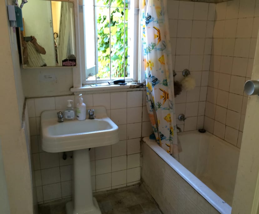 $295, Share-house, 3 bathrooms, Carlton VIC 3053