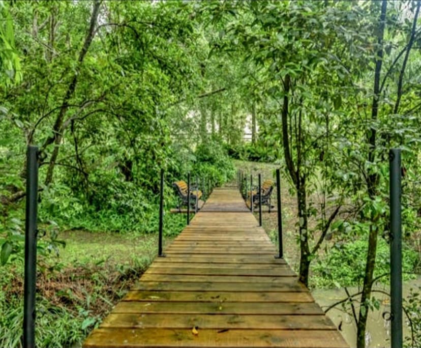 Whole Property for Rent in Eumundi, Sunshine Coast