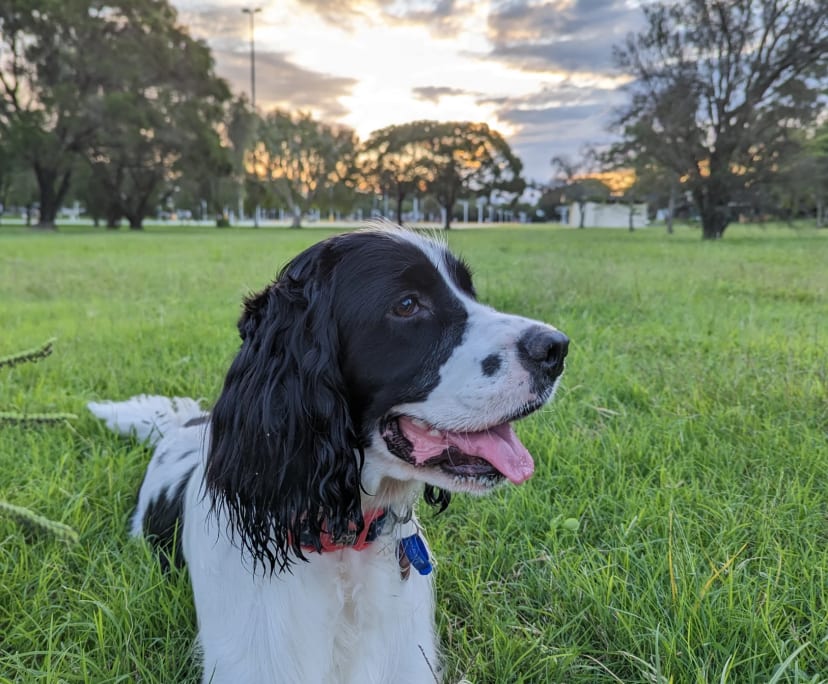 $200, Share-house, 3 bathrooms, Bellbird Park QLD 4300