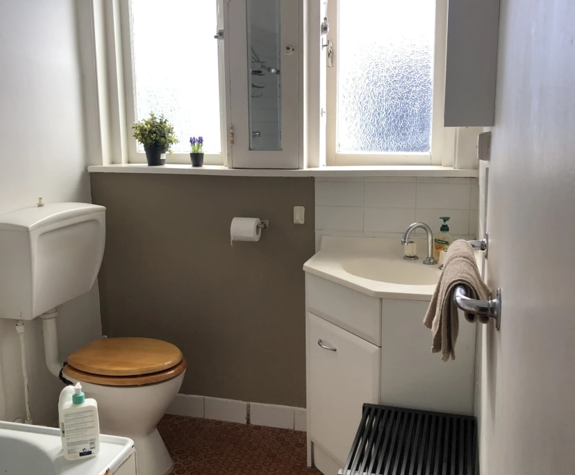 $300, Flatshare, 3 bathrooms, Bondi NSW 2026