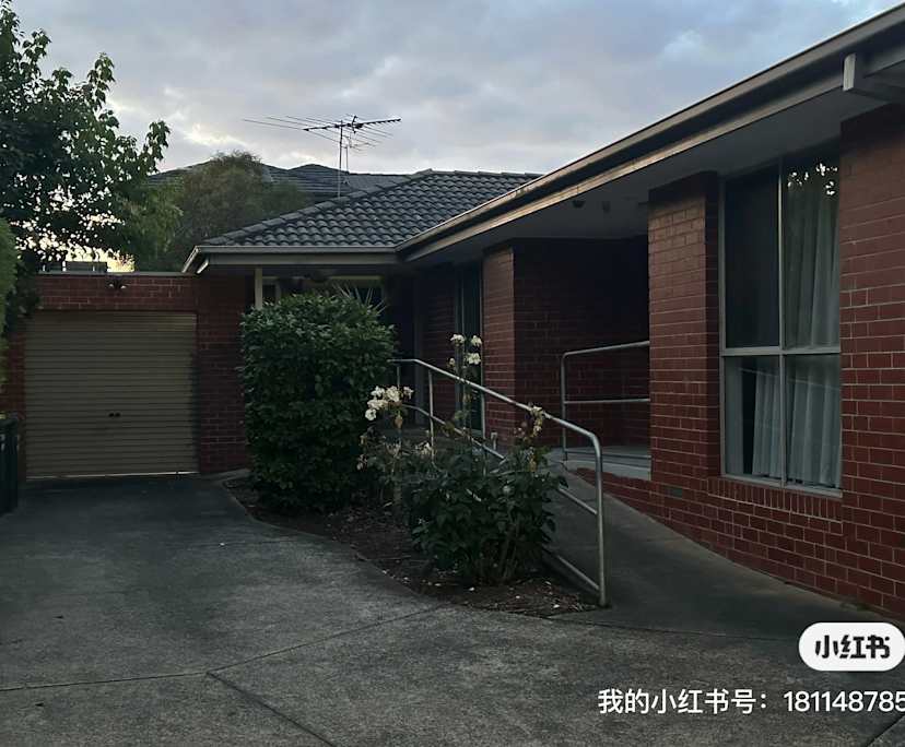 Whole property with 6 rooms for rent