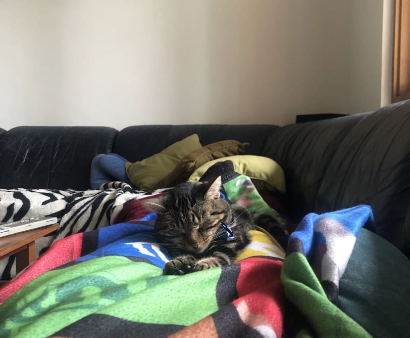 $212, Share-house, 3 bathrooms, Brunswick VIC 3056