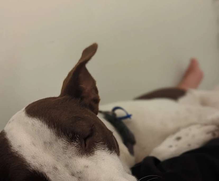 $240, Share-house, 4 bathrooms, Logan Reserve QLD 4133