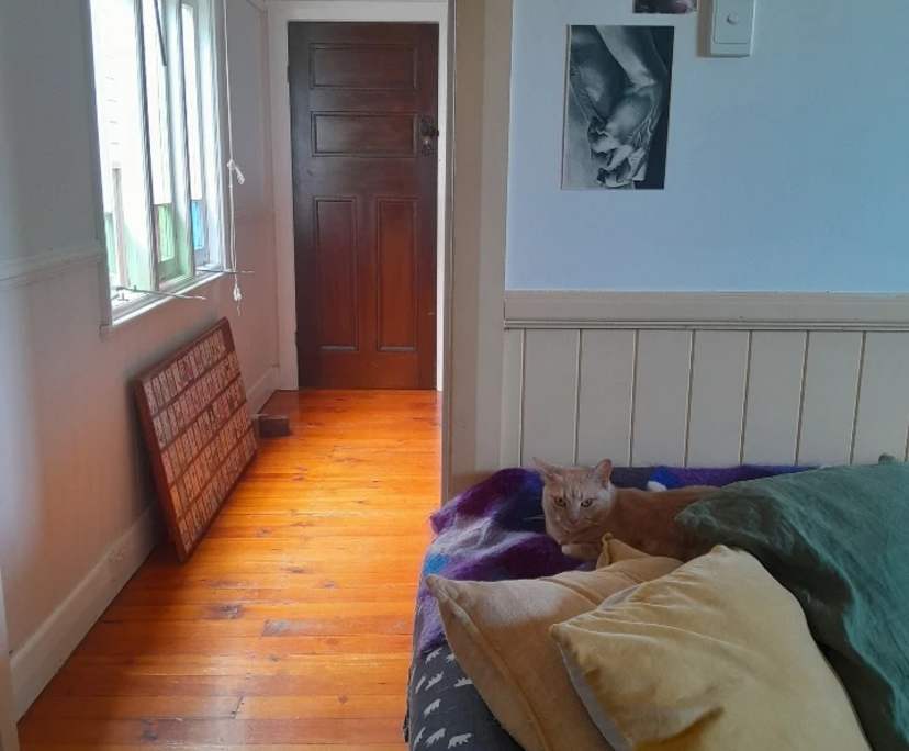 $350, Share-house, 3 bathrooms, Hamilton South NSW 2303