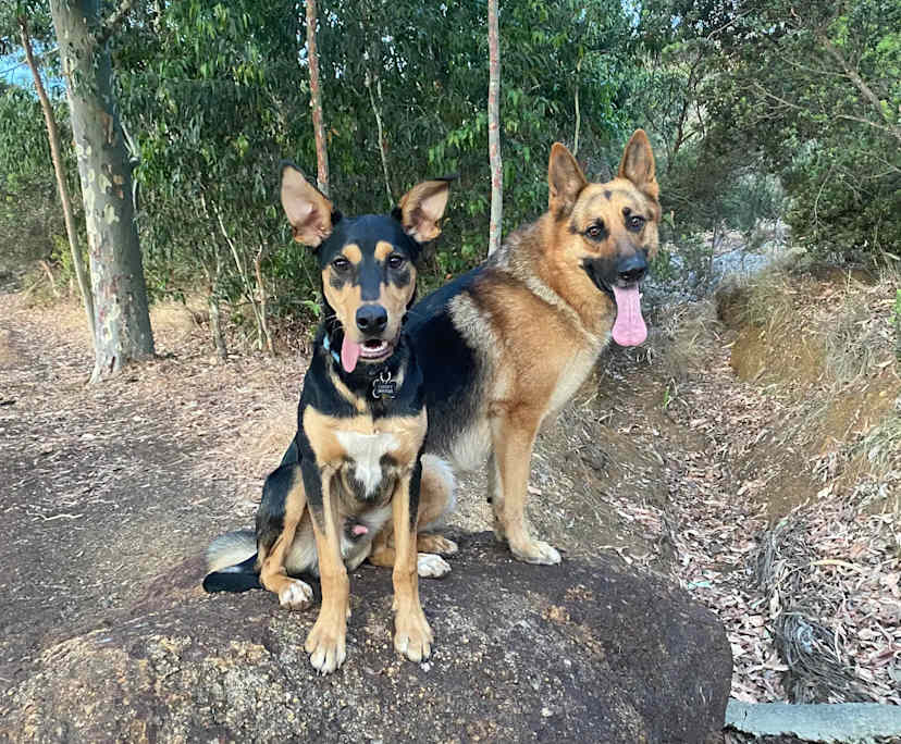 $250, Share-house, 4 bathrooms, Heathridge WA 6027