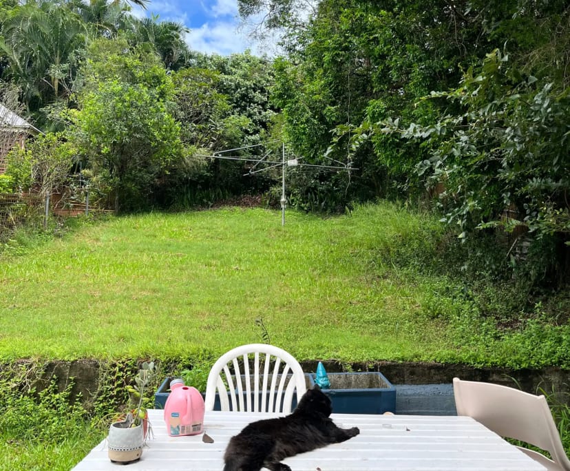 $320, Share-house, 3 bathrooms, West End QLD 4101