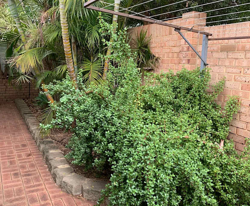 Unfurnished room in a share house