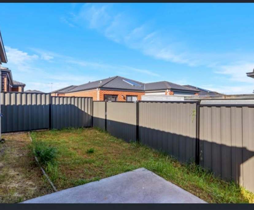 Whole property with 4 rooms for rent