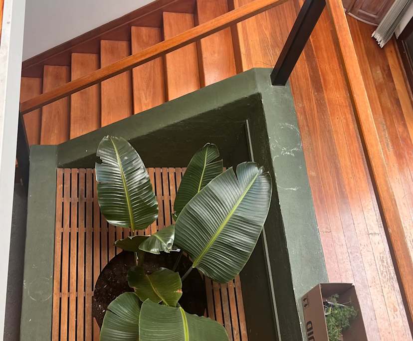 $400, Share-house, 3 bathrooms, New Farm QLD 4005